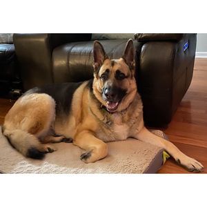 Meet your Posher, Anne